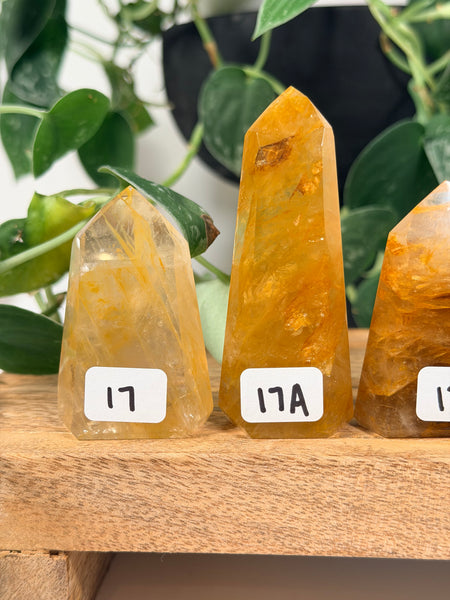 Golden Healer Towers - you pick