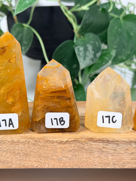 Golden Healer Towers - you pick