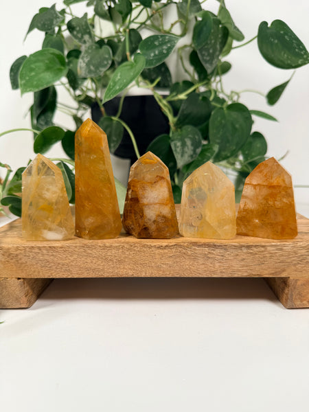 Golden Healer Towers - you pick