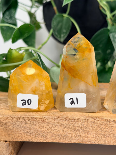 Golden Healer Towers - you pick