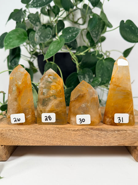 Golden Healer Towers - you pick