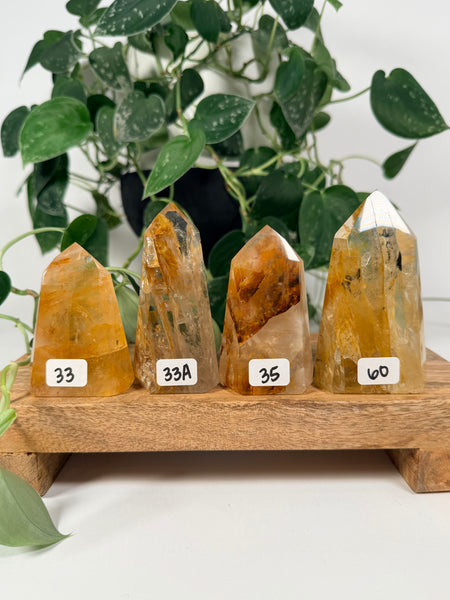 Golden Healer Towers - you pick