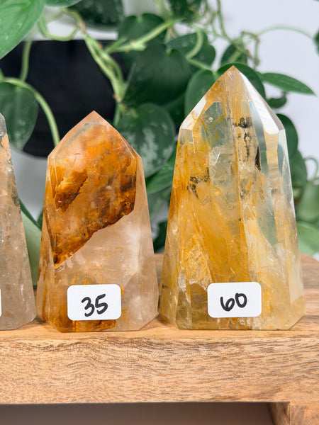 Golden Healer Towers - you pick