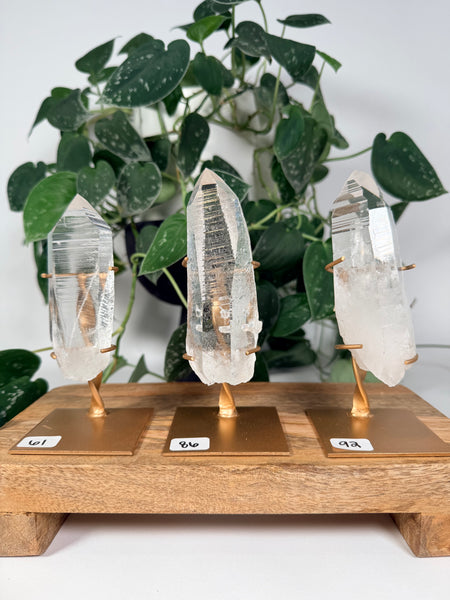 Lemurian Quartz w/ Stand - you pick
