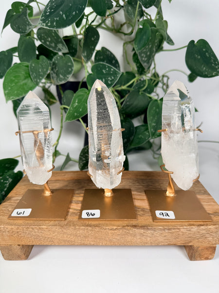Lemurian Quartz w/ Stand - you pick