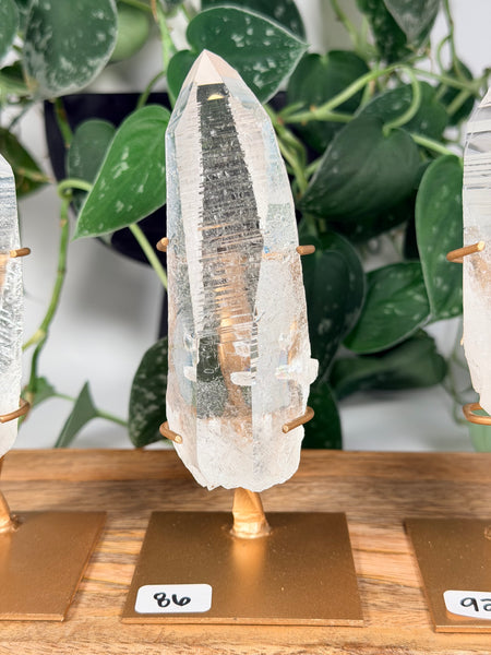 Lemurian Quartz w/ Stand - you pick