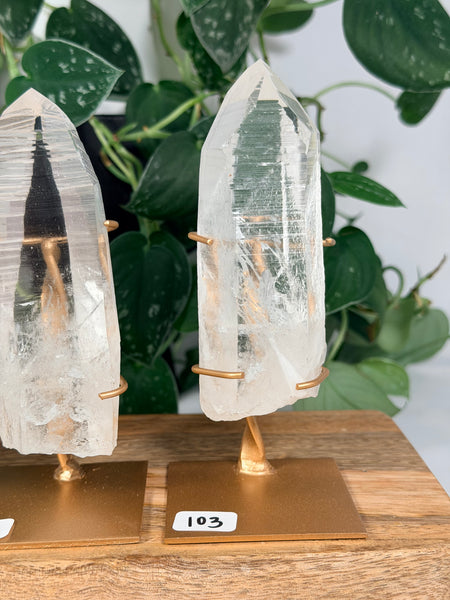 Lemurian Quartz w/ Stand - you pick