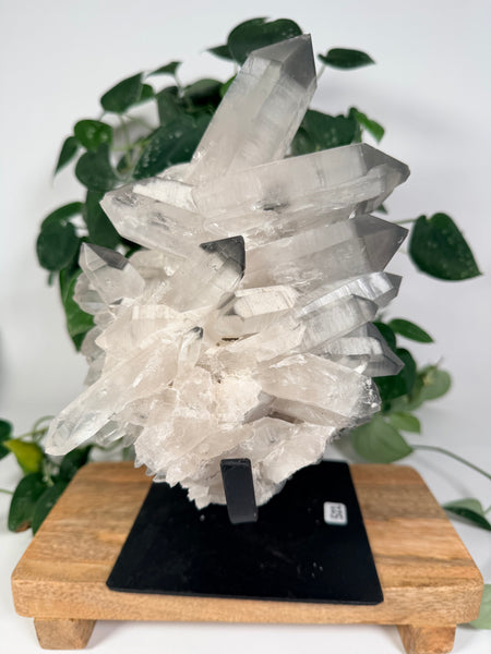 Black Lithium Quartz Cluster w Stand