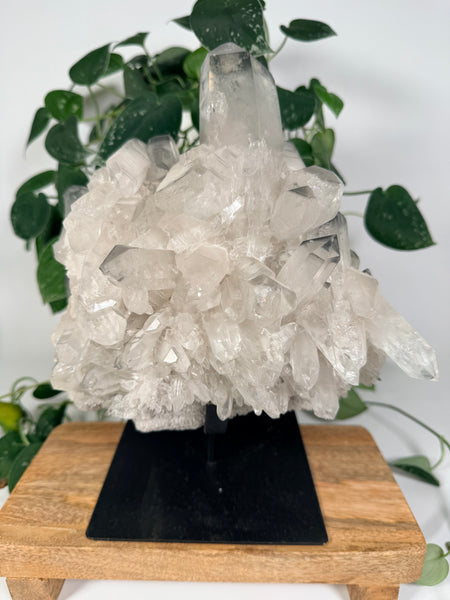 Black Lithium Quartz Cluster w Stand
