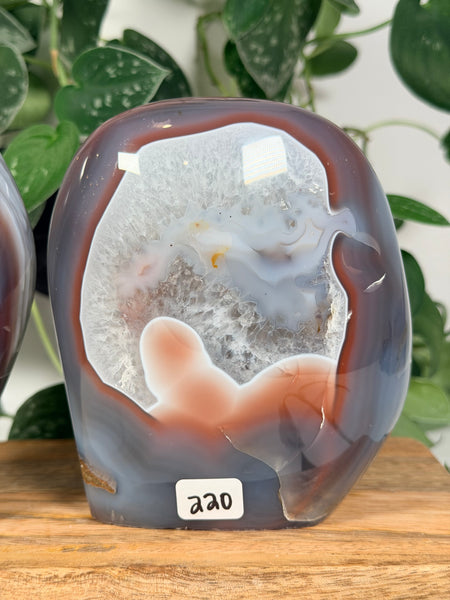 Mozambique Agate Free Forms - you pick