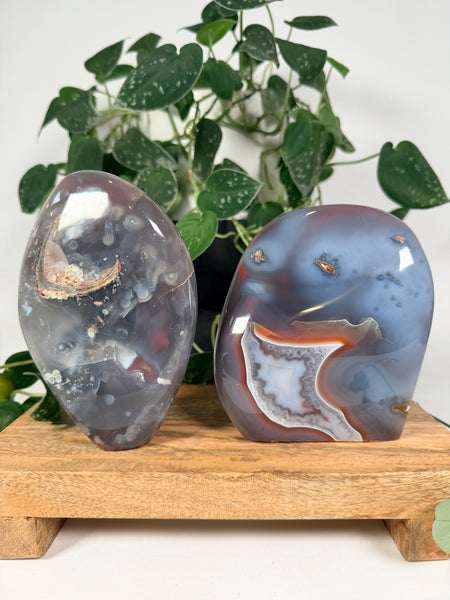 Mozambique Agate Free Forms - you pick