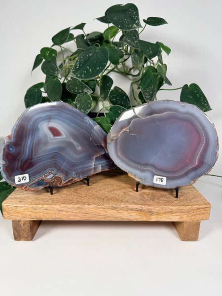 Mozambique Agate - you pick