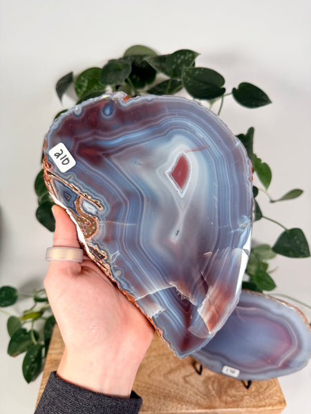 Mozambique Agate - you pick