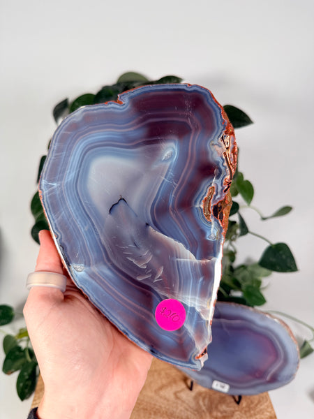 Mozambique Agate - you pick