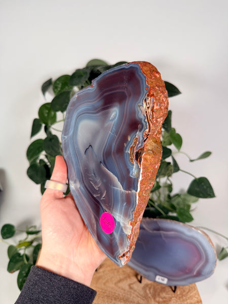 Mozambique Agate - you pick