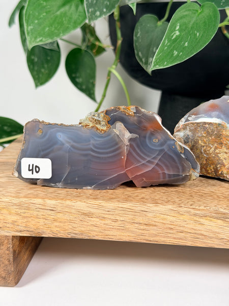 Mozambique Agates - you pick