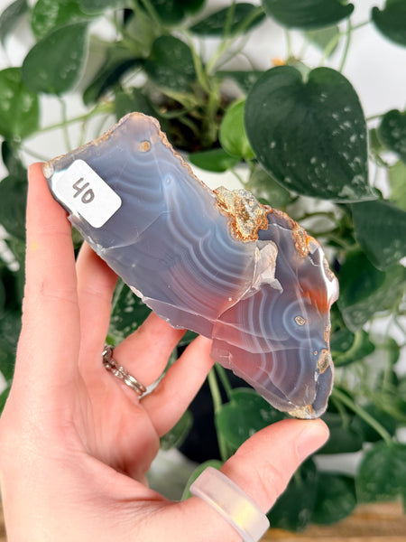 Mozambique Agates - you pick