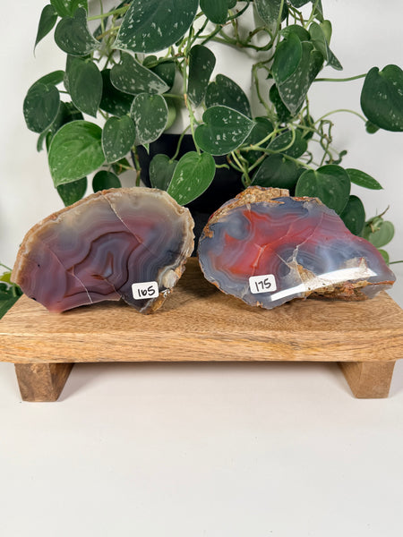 Mozambique Agates - you pick