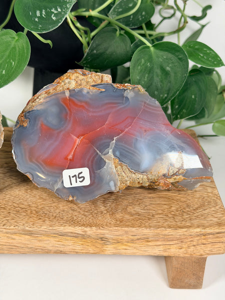 Mozambique Agates - you pick