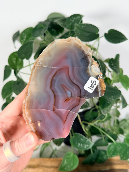 Mozambique Agates - you pick