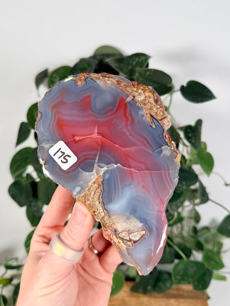 Mozambique Agates - you pick