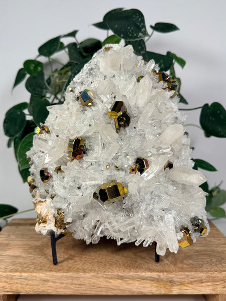 Iridescent Pyrite x Quartz