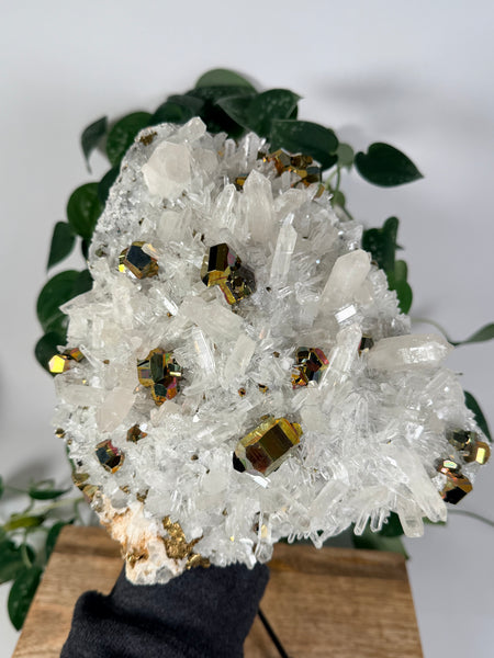 Iridescent Pyrite x Quartz