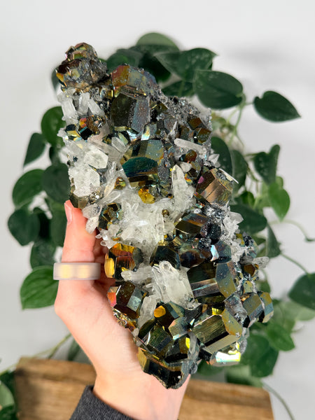Iridescent Pyrite x Quartz