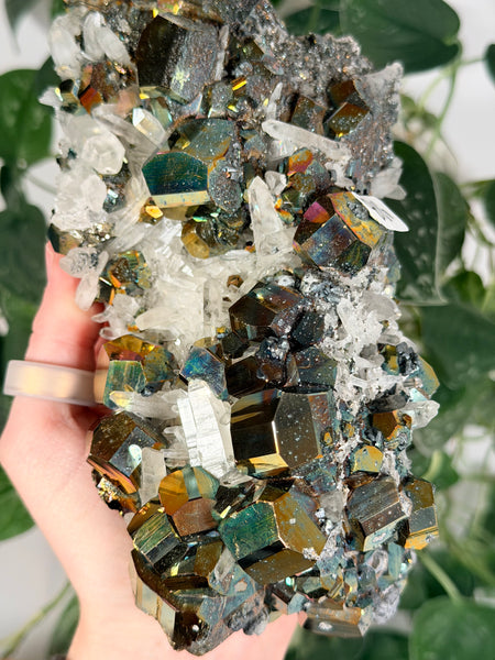 Iridescent Pyrite x Quartz