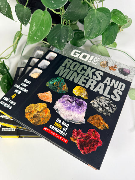 Go Field Guide Rocks & Minerals Book
