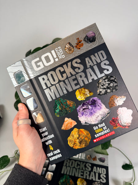 Go Field Guide Rocks & Minerals Book