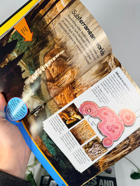 Go Field Guide Rocks & Minerals Book