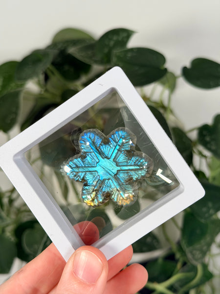 Labradorite Snowflake - mystery
