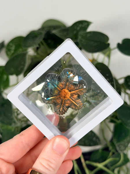 Labradorite Snowflake - mystery