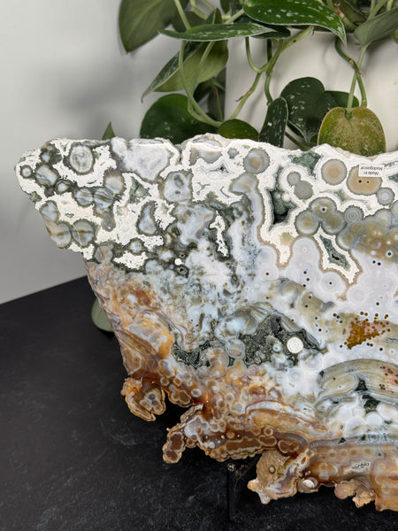 8th Vein Ocean Jasper Slab