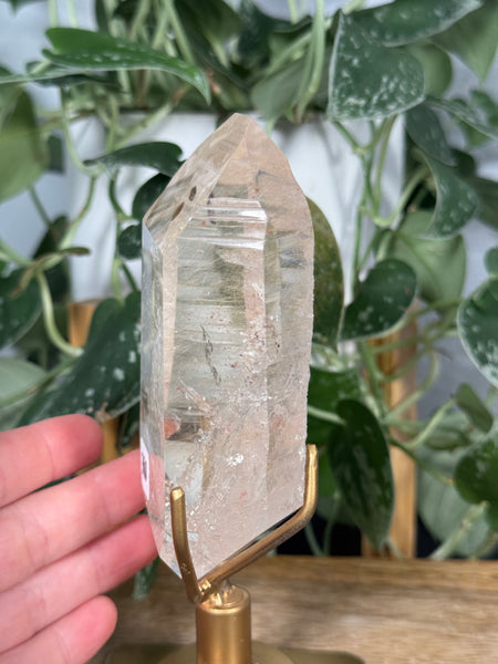 Lemurian Quartz w/ Rutile & Lodolite - 380