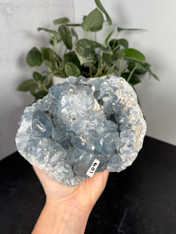 XL Celestite