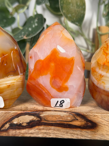 Carnelian Agate Flames