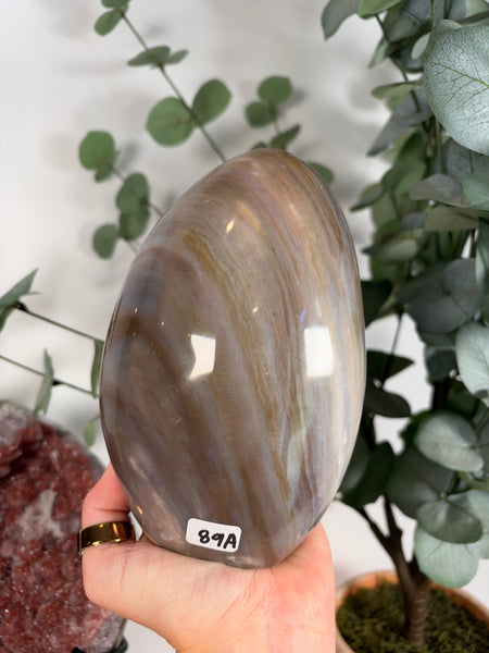Sea Jasper Free Forms - you pick