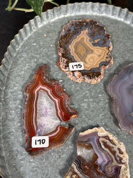 Laguna Agate Slabs - you pick
