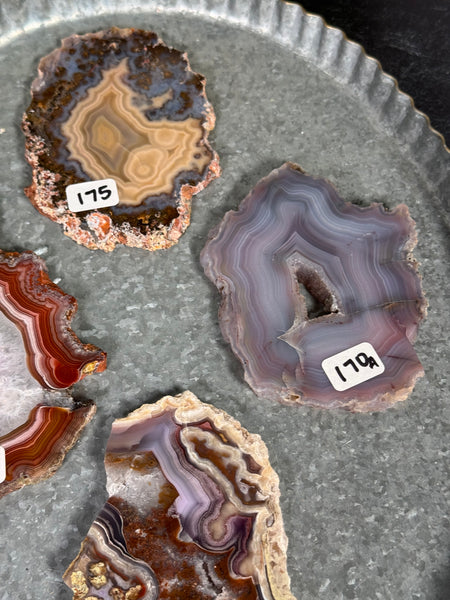 Laguna Agate Slabs - you pick