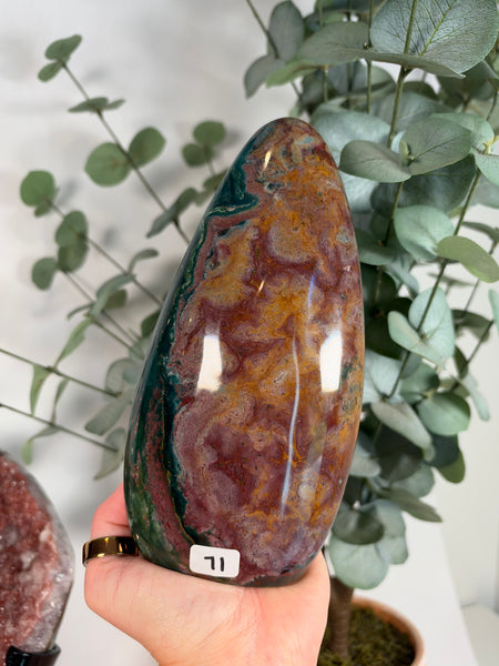 Sea Jasper Free Forms - you pick