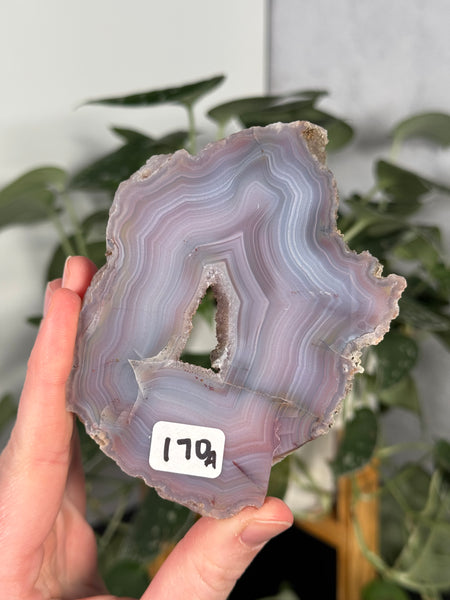 Laguna Agate Slabs - you pick