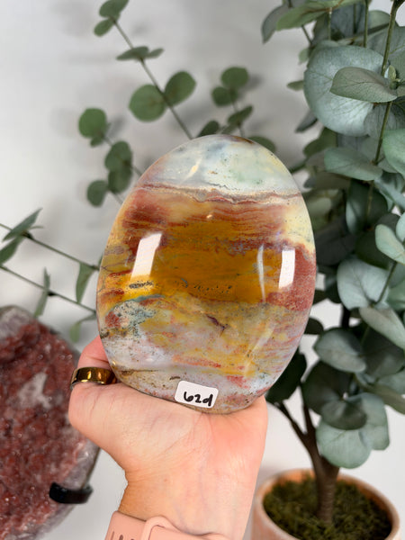 Sea Jasper Free Forms - you pick