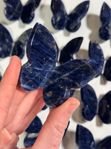 Blue Sodalite 3D Butterfly