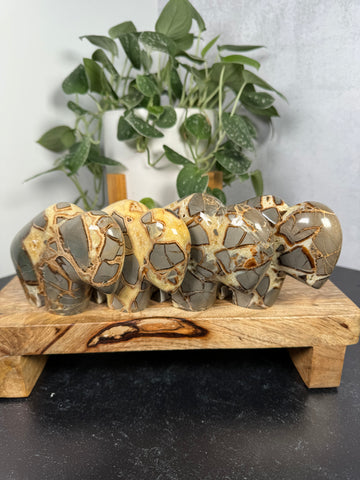 Septarian Jasper Buffalo - LG