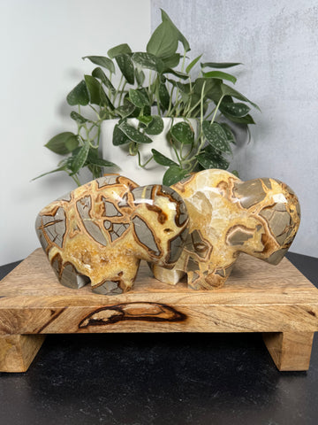 Septarian Jasper Buffalo - XL