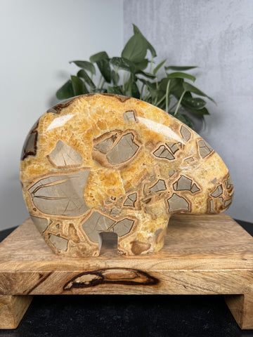 Septarian Jasper Bear - XXL