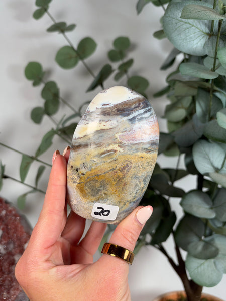 Sea Jasper Free Forms - you pick