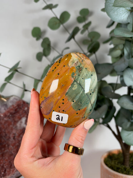 Sea Jasper Free Forms - you pick